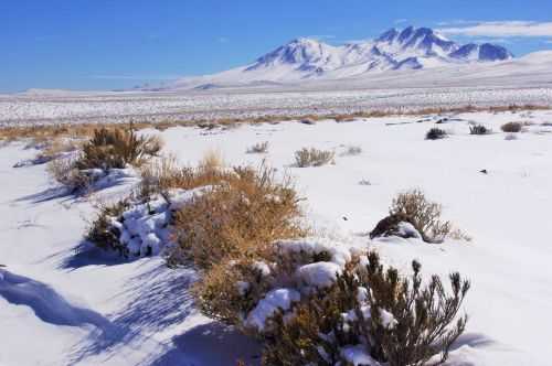 TREKKING NEL DESERTO DI ATACAMA 2015